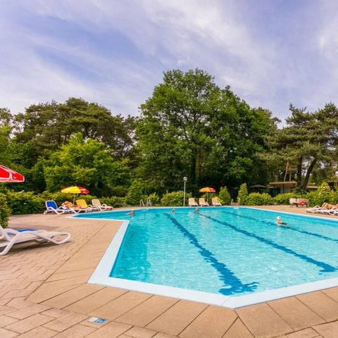 Bospark Markelo - Camping Hof van Twente - Afbeelding N°4