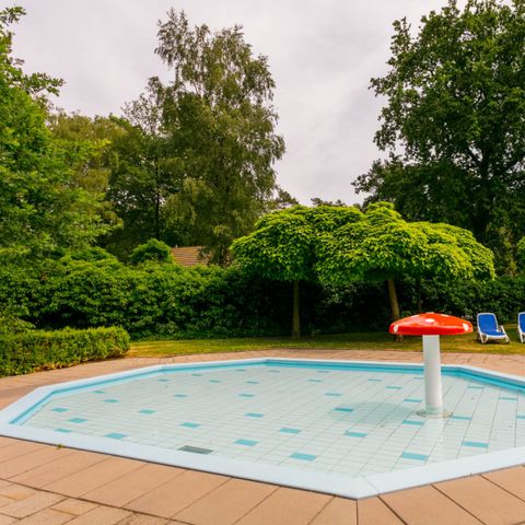 Bospark Markelo - Camping Hof van Twente - Afbeelding N°3