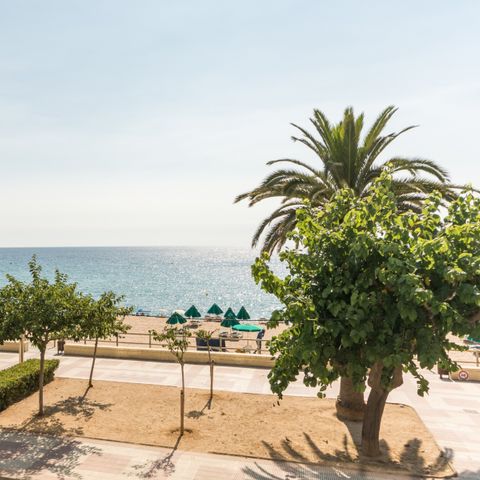 Pierre & Vacances Résidence Blanes Playa - Camping Girona - Afbeelding N°6