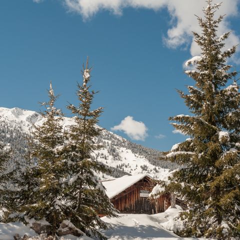 Pierre & Vacances Premium Résidence Les Fermes de Méribel - Camping Savoie - Afbeelding N°2
