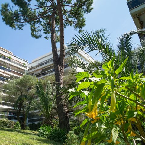 Pierre & Vacances Résidence La Rostagne - Camping Alpes-Maritimes - Afbeelding N°2