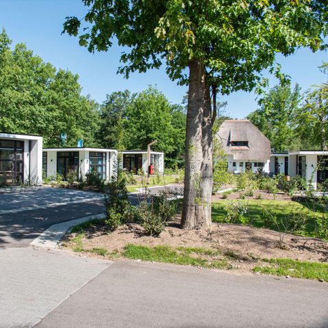TopParken Recreatiepark Beekbergen - Camping Apeldoorn - Afbeelding N°4