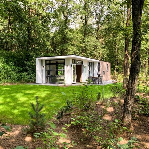 Bungalow 6 personen - Module special