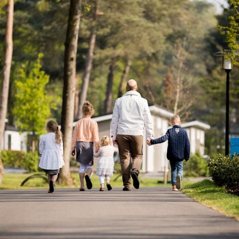 TopParken Recreatiepark Beekbergen - Camping Apeldoorn - Afbeelding N°3