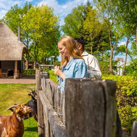 EuroParcs De Wije Werelt - Camping Ede - Afbeelding N°4
