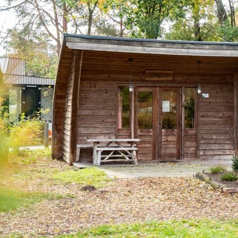 UNIEKE ACCOMMODATIE 4 personen - Trekkershut Geurt