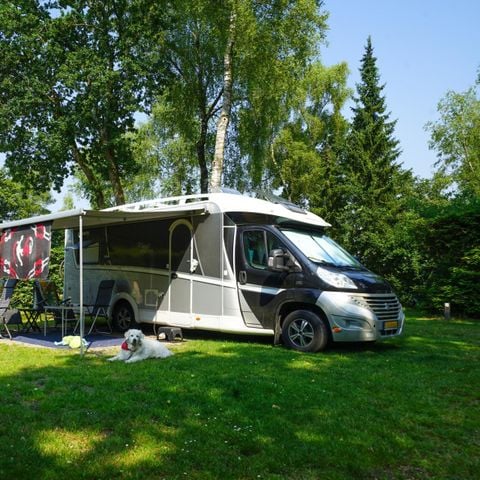 Kampeerplaats - Comfort XL privésanitair