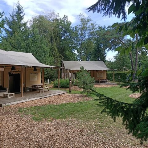 Tent 5 personen - tent Glamping