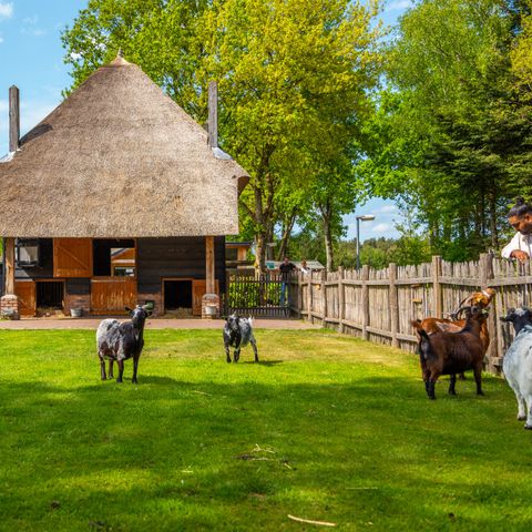 EuroParcs De Wije Werelt - Ede - Afbeelding N°2