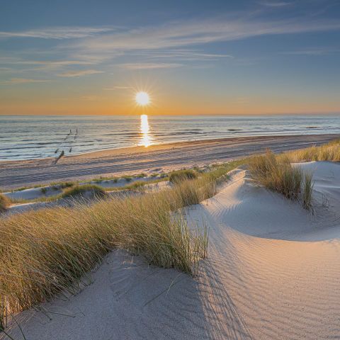 Landal Vlieduyn - Camping Vlieland - Afbeelding N°4