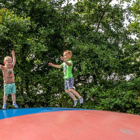 Résidence Terschelling - Camping Terschelling - Afbeelding N°5