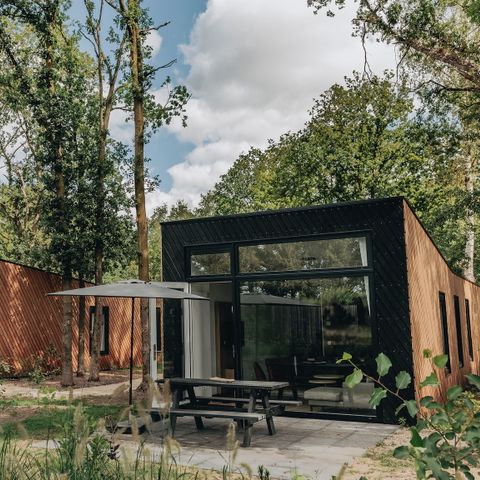 Lodge 6 personen - Forest Cabin