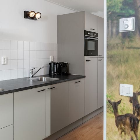 Lodge 6 personen - Forest Cabin