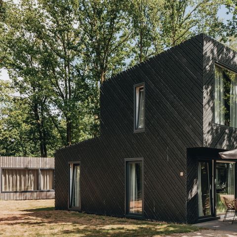 Lodge 4 personen - Patio