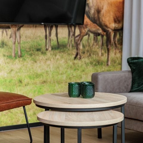 Lodge 4 personen - Forest Cabin Wellness
