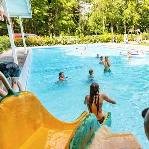 Vakantiepark De Ossenberg - Camping Utrechtse Heuvelrug - Afbeelding N°2