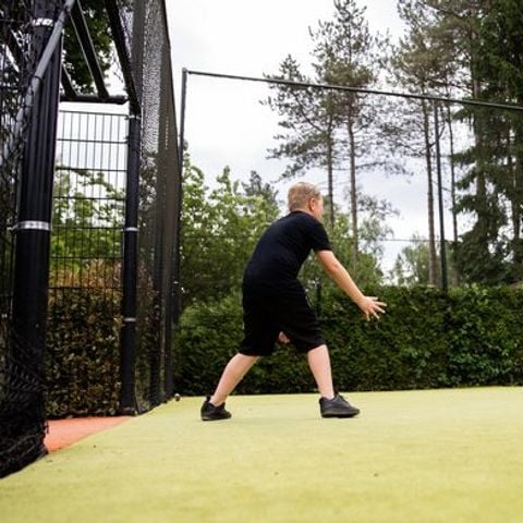 Vakantiepark De Ossenberg - Camping Utrechtse Heuvelrug - Afbeelding N°4