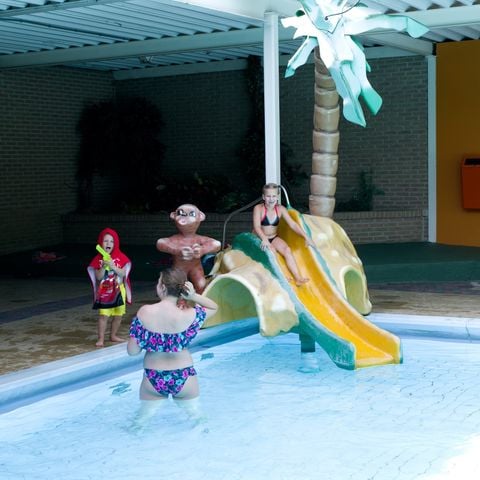 Vakantiepark De Ossenberg - Camping Utrechtse Heuvelrug - Afbeelding N°3