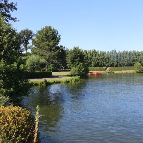 Holiday Suites Klein Strand - Jabbeke - Camping West-Vlaanderen - Afbeelding N°6