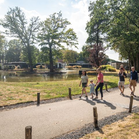 Landal De Vlinderhoeve - Camping Lochem - Afbeelding N°5