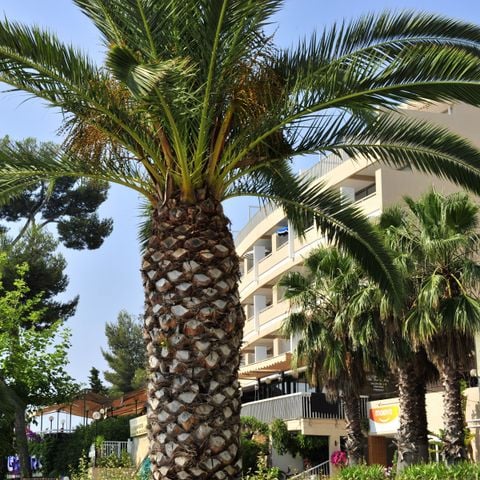 Pierre & Vacances Résidence Bandol Port - Camping Var - Afbeelding N°5