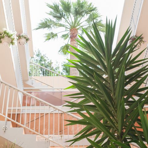 Pierre & Vacances Maeva Villa Livia - Camping Alpes-Maritimes - Afbeelding N°6