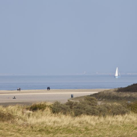 EuroParcs Bad Meersee - Camping Cadzand - Afbeelding N°4