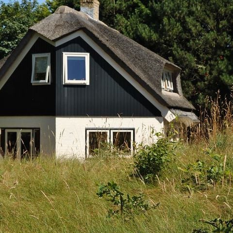 VAKANTIEHUIS 8 personen - Duinhuis De Bosuil