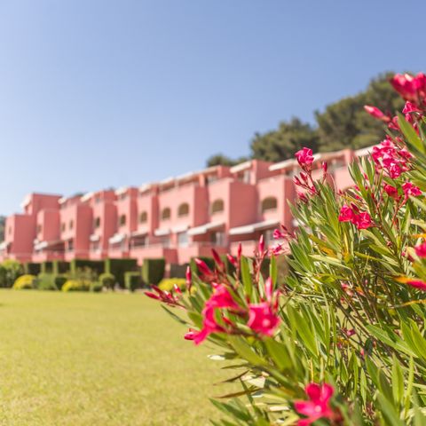 Pierre & Vacances Résidence Les Jardins de la Côte d'Azur - Camping Var - Afbeelding N°2