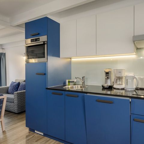 LANDHUIS 8 personen - Premium Cottage HA1823