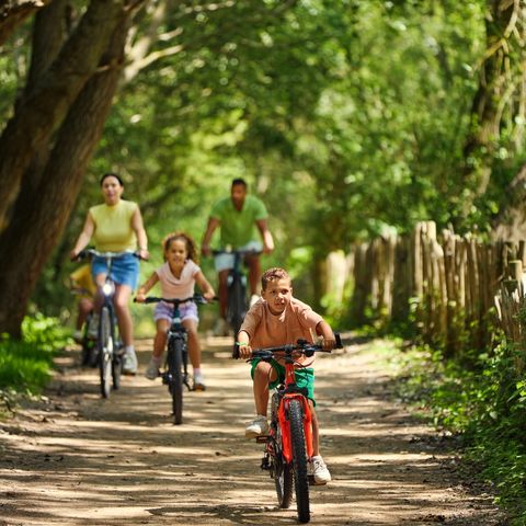 Center Parcs Park De Haan - Camping West-Vlaanderen - Afbeelding N°5