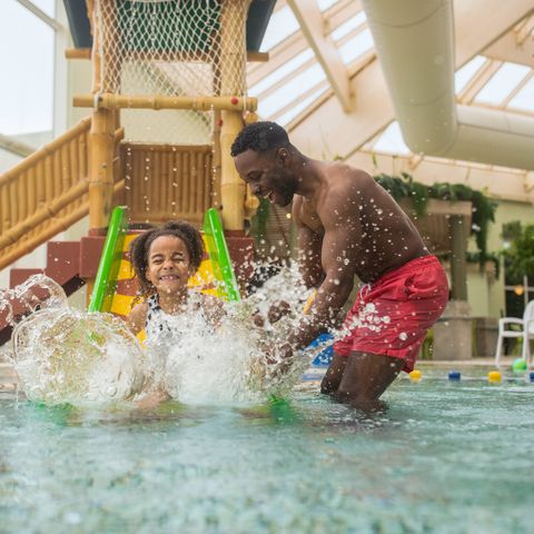 Center Parcs Park De Haan - Camping West-Vlaanderen - Afbeelding N°5