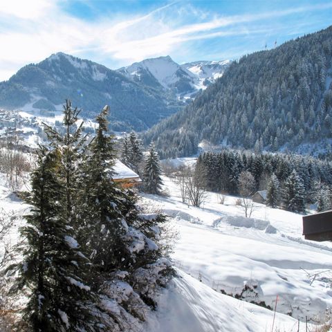 Residentie Le Petit Savoyard - Camping Haute-Savoie - Afbeelding N°4