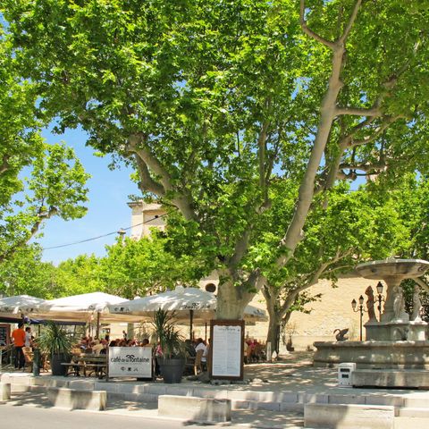Vakantiecomplex Les Garrigues de la Vallée des Baux - Camping Bouches-du-Rhône - Afbeelding N°4