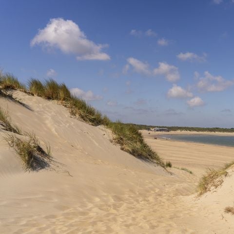 Landal Vakantiepark Bos en Duin - Veere - Afbeelding N°2