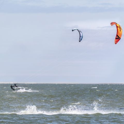 Landal Vakantiepark Bos en Duin - Veere - Afbeelding N°5