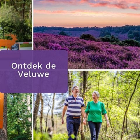 VAKANTIEHUIS 4 personen - Heidehoeve Comfort