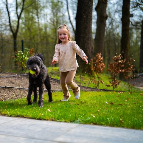 De Rimboe & Woeste Hoogte - Camping Apeldoorn - Afbeelding N°4