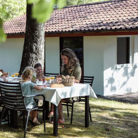 Ferienpark Grafschaft Bentheim - Camping Nedersaksen - Afbeelding N°2