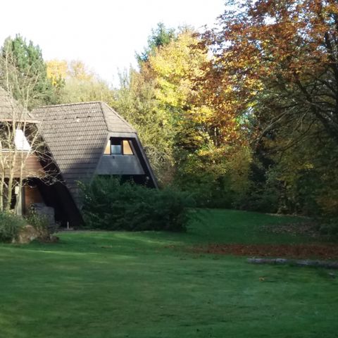 Feriendorf Waldbrunn - Camping Baden-Württemberg - Afbeelding N°3