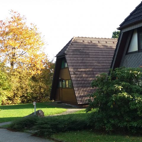Feriendorf Waldbrunn - Camping Baden-Württemberg - Afbeelding N°4