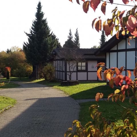 Feriendorf Waldbrunn - Camping Baden-Württemberg - Afbeelding N°5