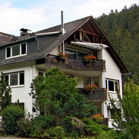 Sonnenhof Willingen - Camping Hessen - Afbeelding N°5