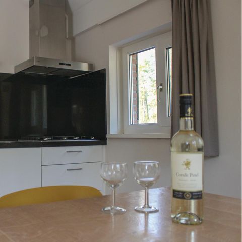 VAKANTIEHUIS 6 personen - HOV407