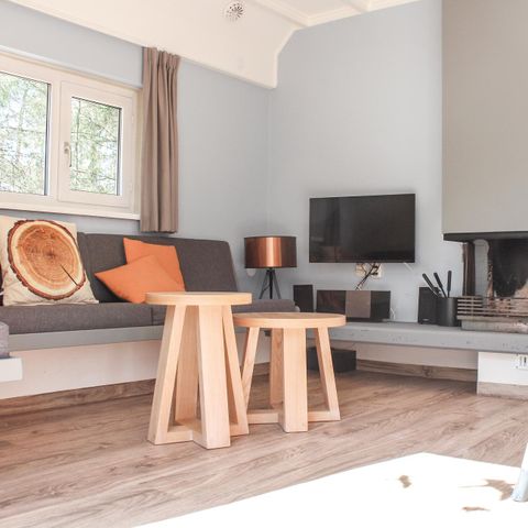 Novasol Bospark Landgoed Junne - Camping Ommen - Afbeelding N°5
