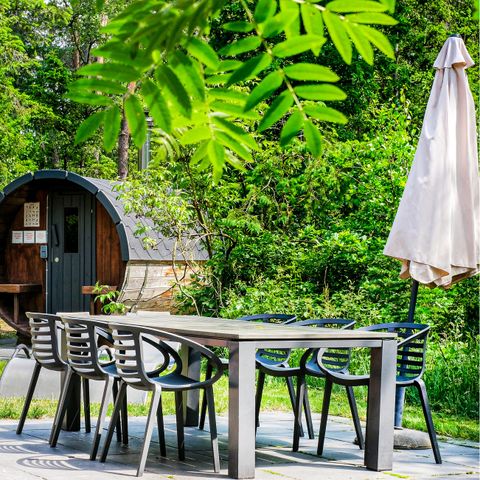Novasol Bospark Landgoed Junne - Camping Ommen - Afbeelding N°2