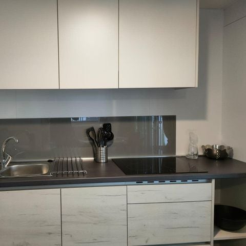 Tiny House 4 personen - Tiny Cottage 2+2
