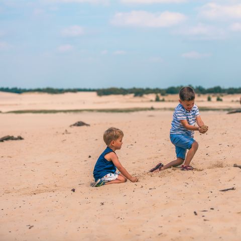 EuroParcs Kaatsheuvel - Camping Loon op Zand - Afbeelding N°5