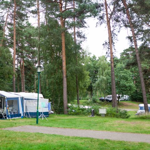 Oostappen park Boschbeek - Camping Roerdalen - Afbeelding N°6