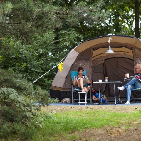 Oostappen park Boschbeek - Camping Roerdalen - Afbeelding N°4
